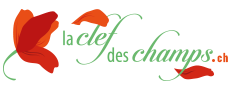 Institut La Clef des Champs